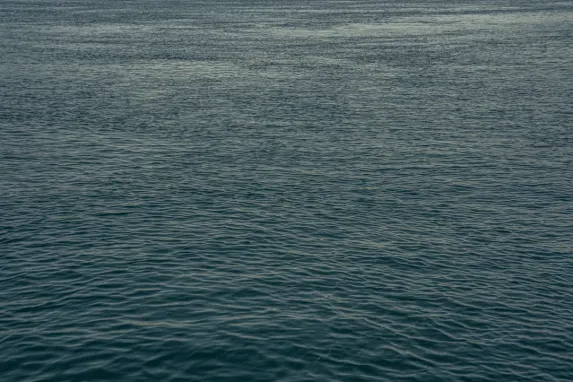 Jackpot Molly Casino Support